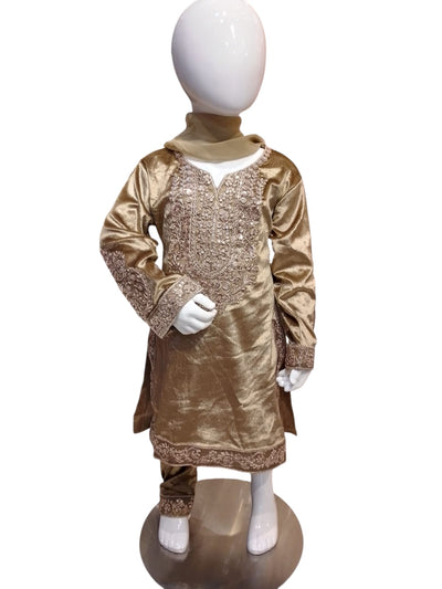 PH-1A Kidswear Plazo 3 piece suit Velvet material