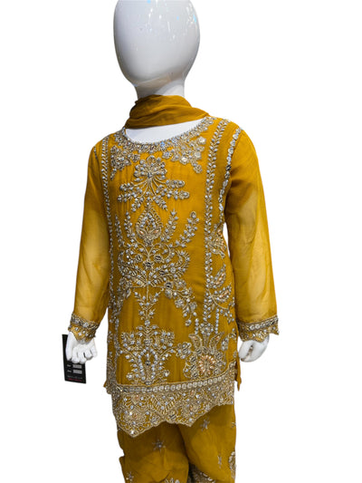 ZB-2C Kidswear Plazo 3 piece suit Chiffon material