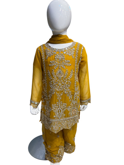 ZB-2C Kidswear Plazo 3 piece suit Chiffon material